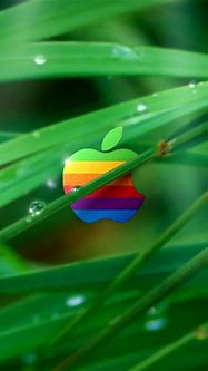 Image result for iPhone 5S LCARS Wallpaper