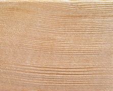 Image result for Curved Wood Grain Texture