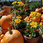 Image result for Free Halloween Screensavers