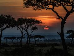 Image result for Kenya Safari Sunset