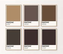 Image result for Coffee Pantone Color
