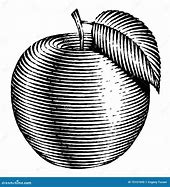 Image result for Apple Illustration Engraving