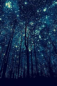 Image result for Imagenes De Noches Estrelladas