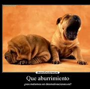 Image result for aburrimuento