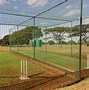 Image result for Kids Playing Cricket