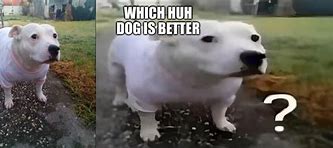 Image result for Huh Dog Meme