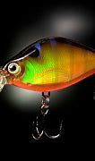 Image result for Rapala Lures Bass