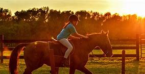 Image result for Horse Riding Near Me