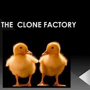 Image result for Clone Factory