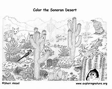 Image result for Biome Coloring Pages