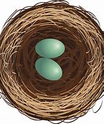 Image result for Bird Nest Clip Art