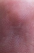 Image result for Fingerprint Contact