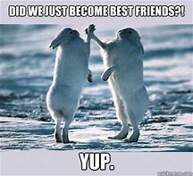 Image result for Did We Become Best Friends Meme