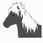 Image result for Arabian Horse Head Drawing