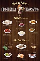 Image result for Thanksgiving Food Safe for Cats