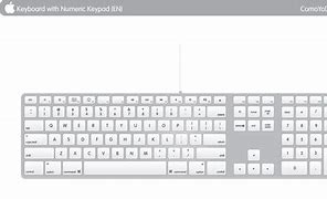 Image result for Apple Keyboard Vector