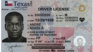 Image result for Texas Drivers License Sample