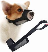 Image result for Muzzle for a Dog