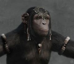 Image result for Planet of the Apes Female