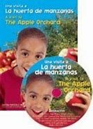 Image result for Apple Orchard Infographic