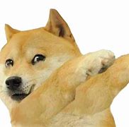 Image result for Angry Doge Memes