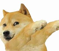 Image result for Shiba Inu Doge Derp Meme