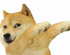 Image result for Know Your Meme Doge