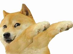 Image result for Angry Doge Meme Template