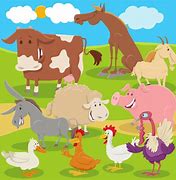 Image result for Farm Animals Hiding Cartoon
