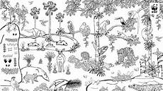 malvorlagen urwald zum ausdrucken regenwald zum ausmalen wwf junior malvorlagen urwald zum ausdrucken regenwald zum ausmalen wwf junior