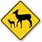 Image result for Deer Crossing Sign
