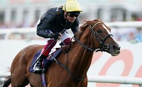Image result for Bankingonthedude Race Horse