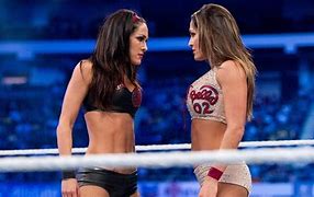 Image result for Nikki Bella Glam