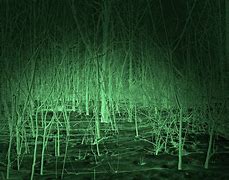Image result for Night Vision Trail Camera