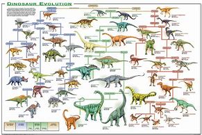 Image result for Dinosaur Evolution