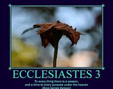 Image result for Ecclesiastes Nothing New Under the Sun