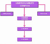 Image result for LLC Company Structure