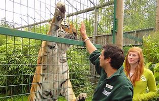 Image result for Zoo Keeper Tour