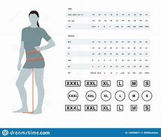 Size Chart For Women Stock Vector Illustration Of Body