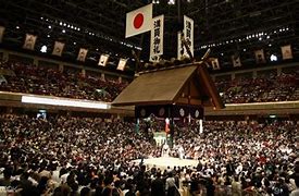 Image result for Tokyo Sumo Wrestling Arena