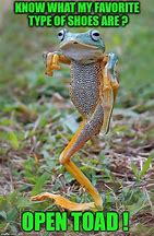 Image result for Kick the Toad Meme