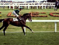 Image result for Shergar