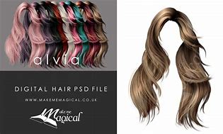 Image result for Hair Overlay