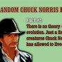 Image result for Chuck Norris Sales Meme