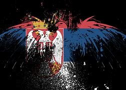 Image result for Cool Serbian Flag