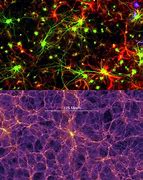 Image result for Spaces in the Brain