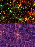 Image result for Galagxy Brain