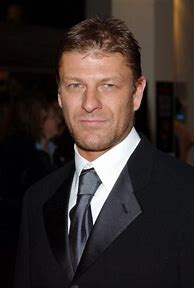 Image result for Sean Bean Suit