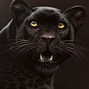 Image result for Cheetah Print Computer Background