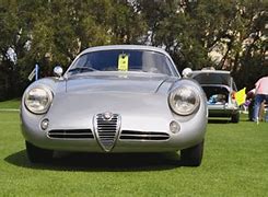 Image result for Alfa Romeo Rally